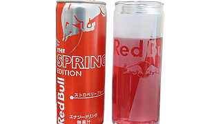 レッドブルの非売品業務用 ありがとうホンダ！」レッドブルのF1限定デザイン缶が販売中！ 角田裕