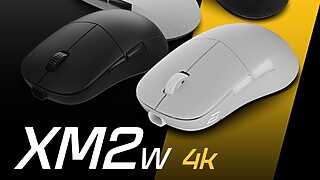 マウス・トラックボール XM2w 4K Endgame Gear Endgame Gear XM2w 4K Review | TechPowerUp