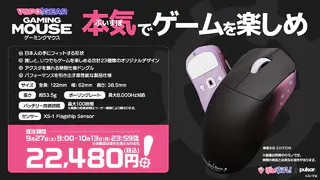マウスまとめ売り＋マウスパッド ゲーミングマウスパッド ［330x420x4mm］ NINJA FX ゼロ SOFT L